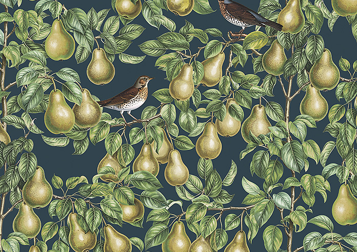 Pears, Silent Night - Twist&Fit Roller Blind - Image 6